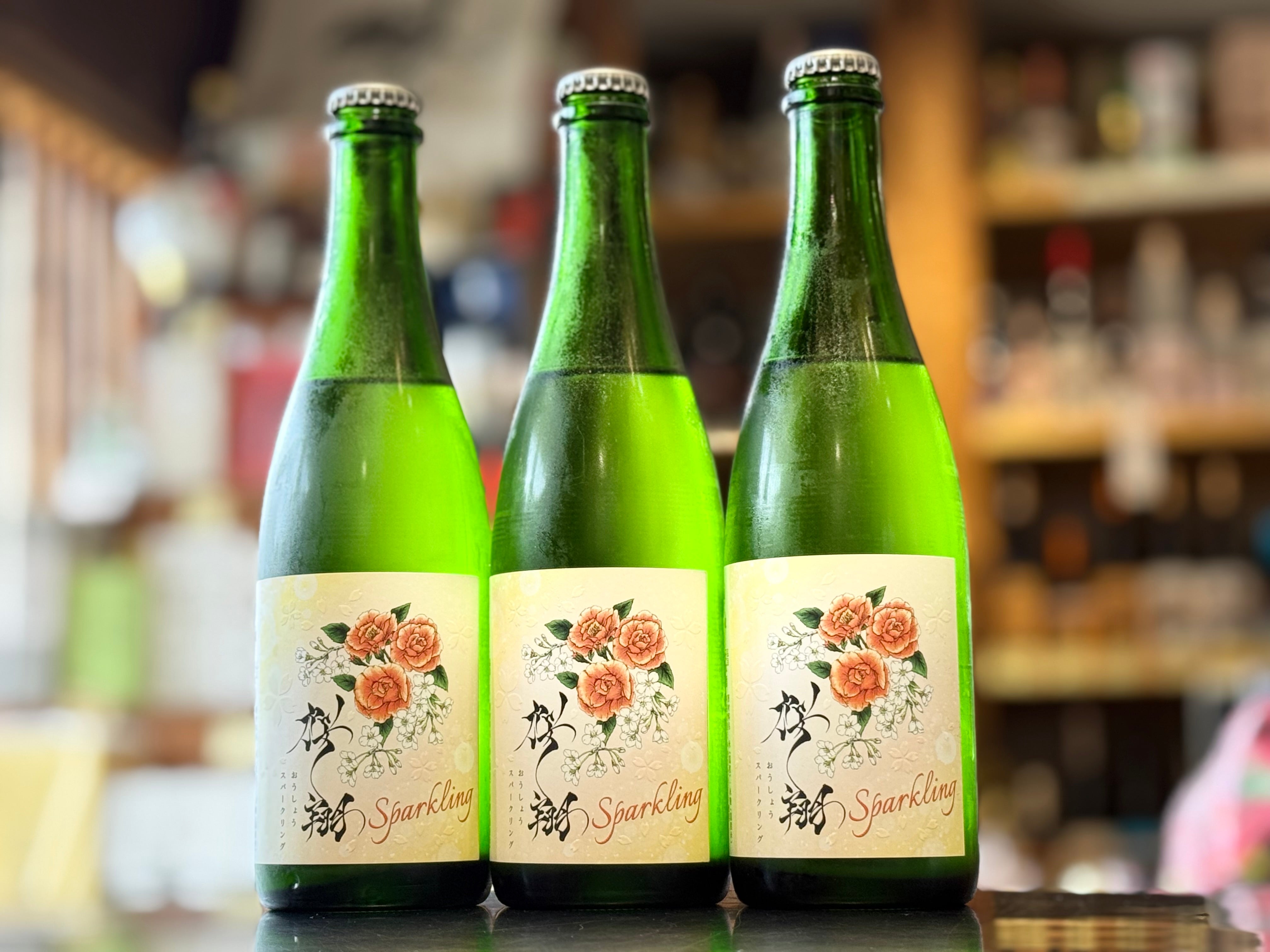 IMG_E1499_1_4032x.jpg?v=1751598381