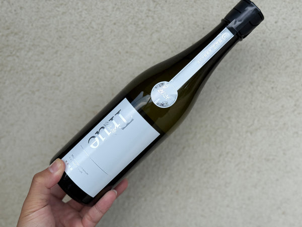 寒菊 ｜TRUE WHITE--2026--