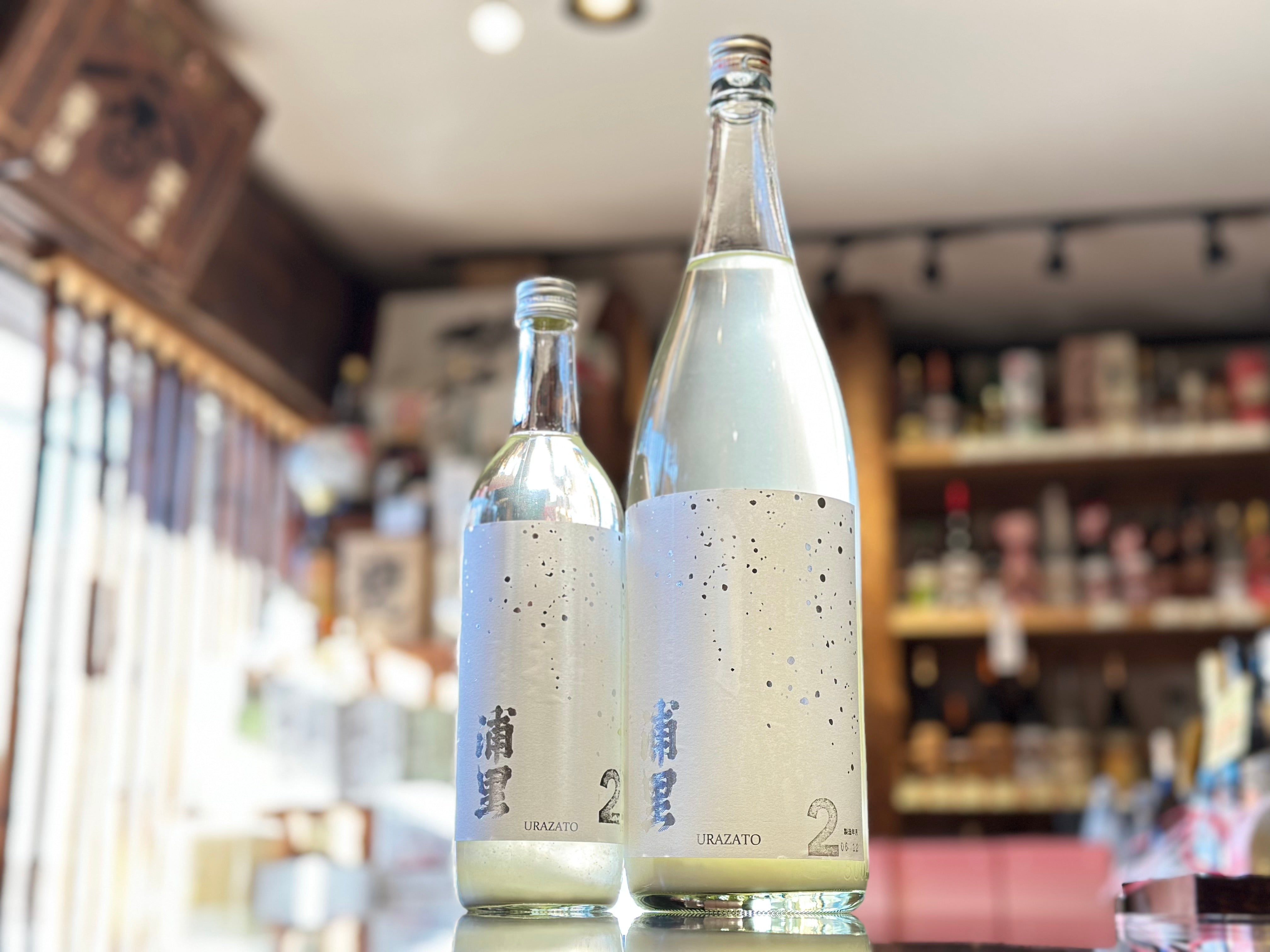 サニーゴ 旧裏 余白部分あり サニーゴ 旧裏 余白部分あり